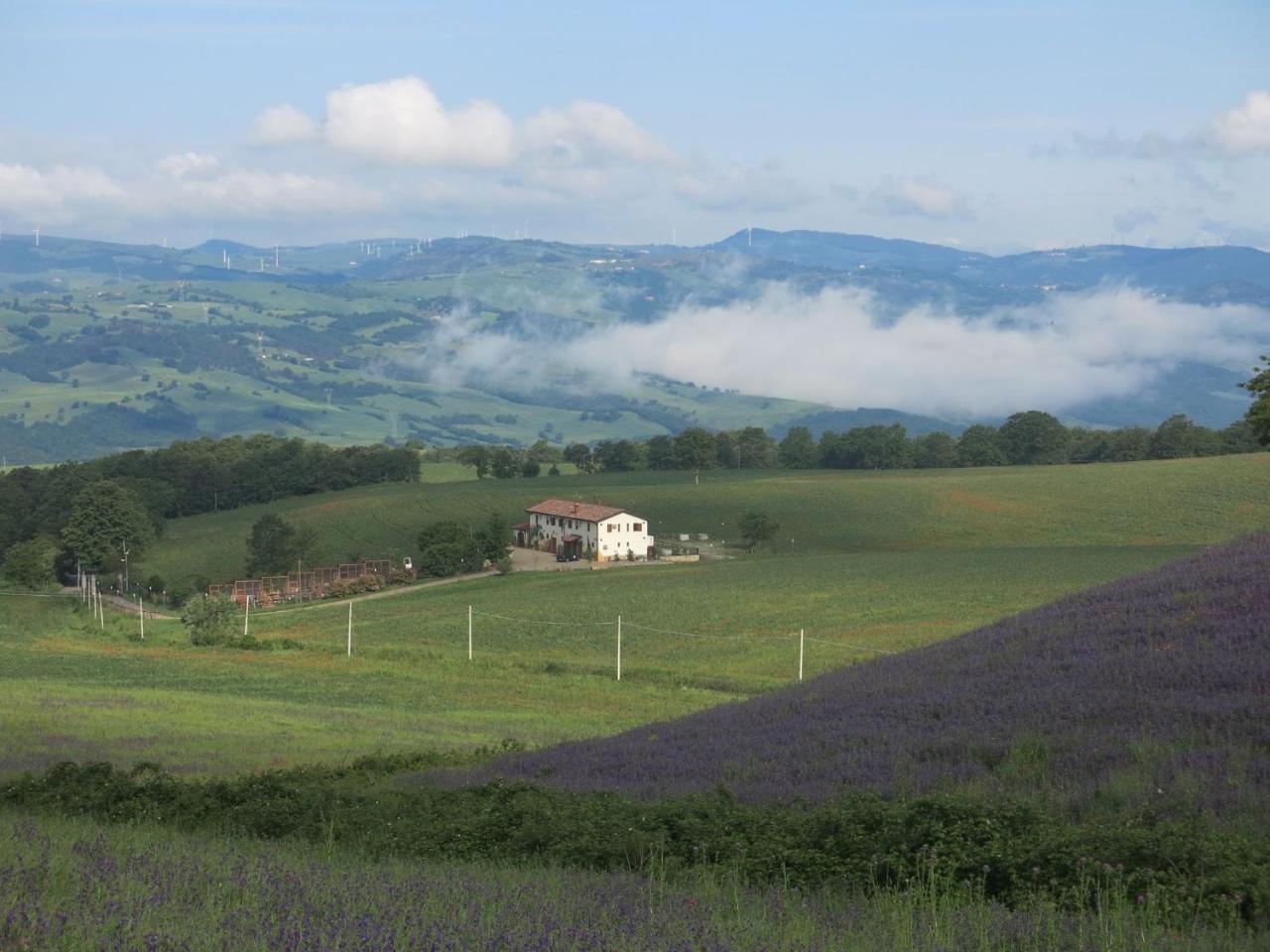 Agriturismo Il Riccio Monticchio  Exterior foto